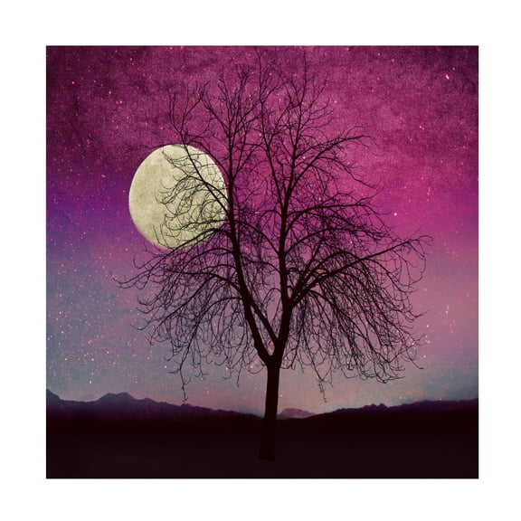 Trademark Fine Art 'Pink Twilight' Canvas Art by Tina Lavoie