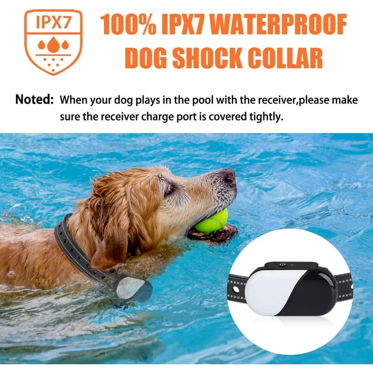 Pumila dog sale training collar