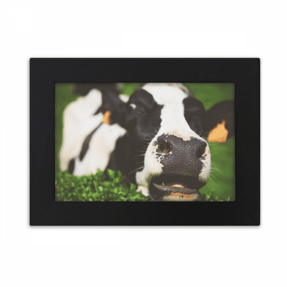 Pcture m Animal Cow Desktop Photo Frame Ornaments Picture Art Painting