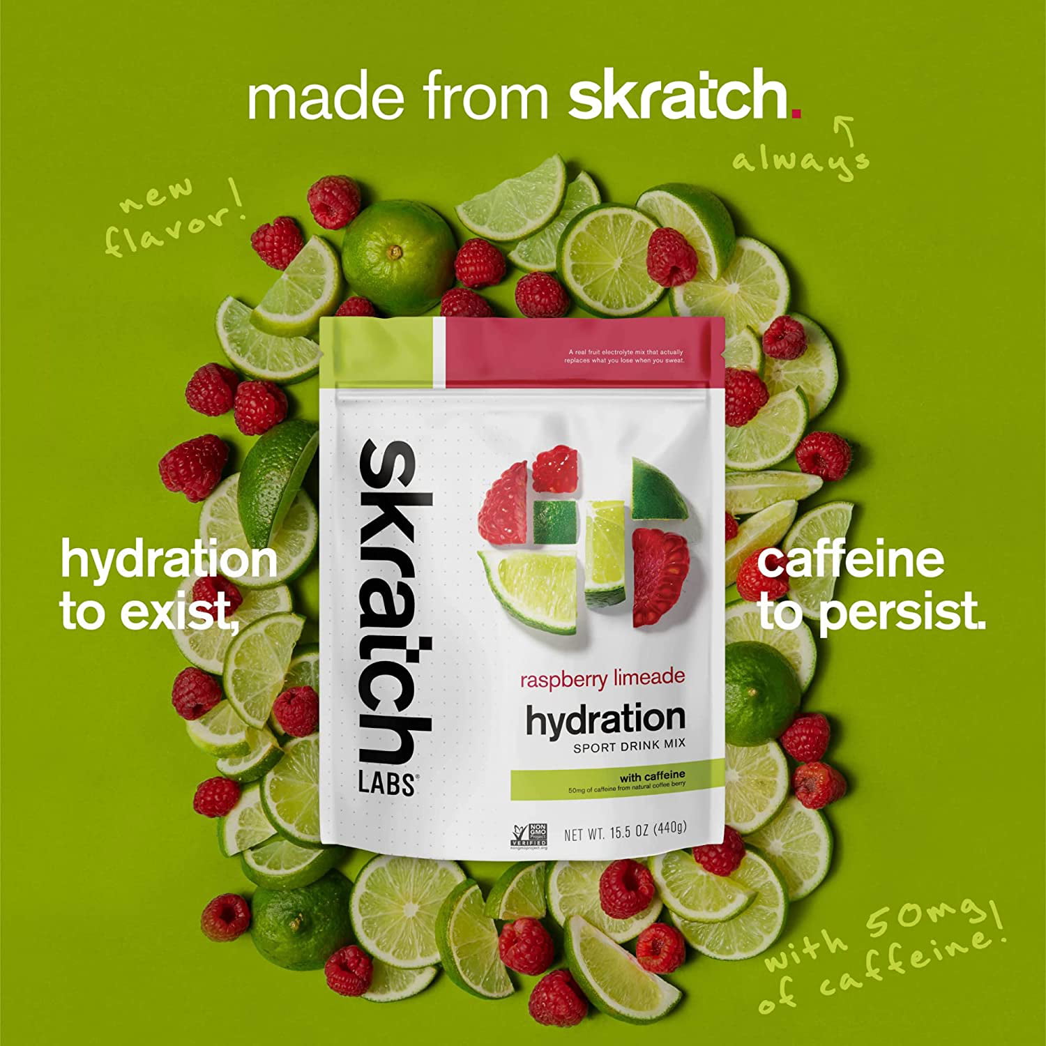 Skratch Labs Hydration Sports Drink Mix, Lemons + Limes, 440g, 20 Pack  Singles, 