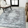 thumbnail image 3 of JONATHAN Y WASHABLE 4 x 6 Area Rug, Bausch Bohemian Distressed Chenille - Dark Gray/Blue, WSH201D-4, 3 of 8