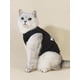 thumbnail image 3 of PETSIN 1pc Letter Graphic Pet Tank, 3 of 4