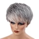 thumbnail image 2 of Peluca corta para mujer Color gris y , Cabello natural Postizos Pelucas pulgadas, de cosplay Ropa Resistente al calo Yinane Peluca de pelo de mujer, 2 of 8