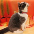 thumbnail image 6 of Basic Adjustable Cat Collar Bling Diamond Breakaway with Bell for Kitten Girl boy, 6 of 6