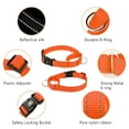thumbnail image 3 of Plutus Pet Reflective Martingale Collar with Quick Snap Buckle, 3 of 7