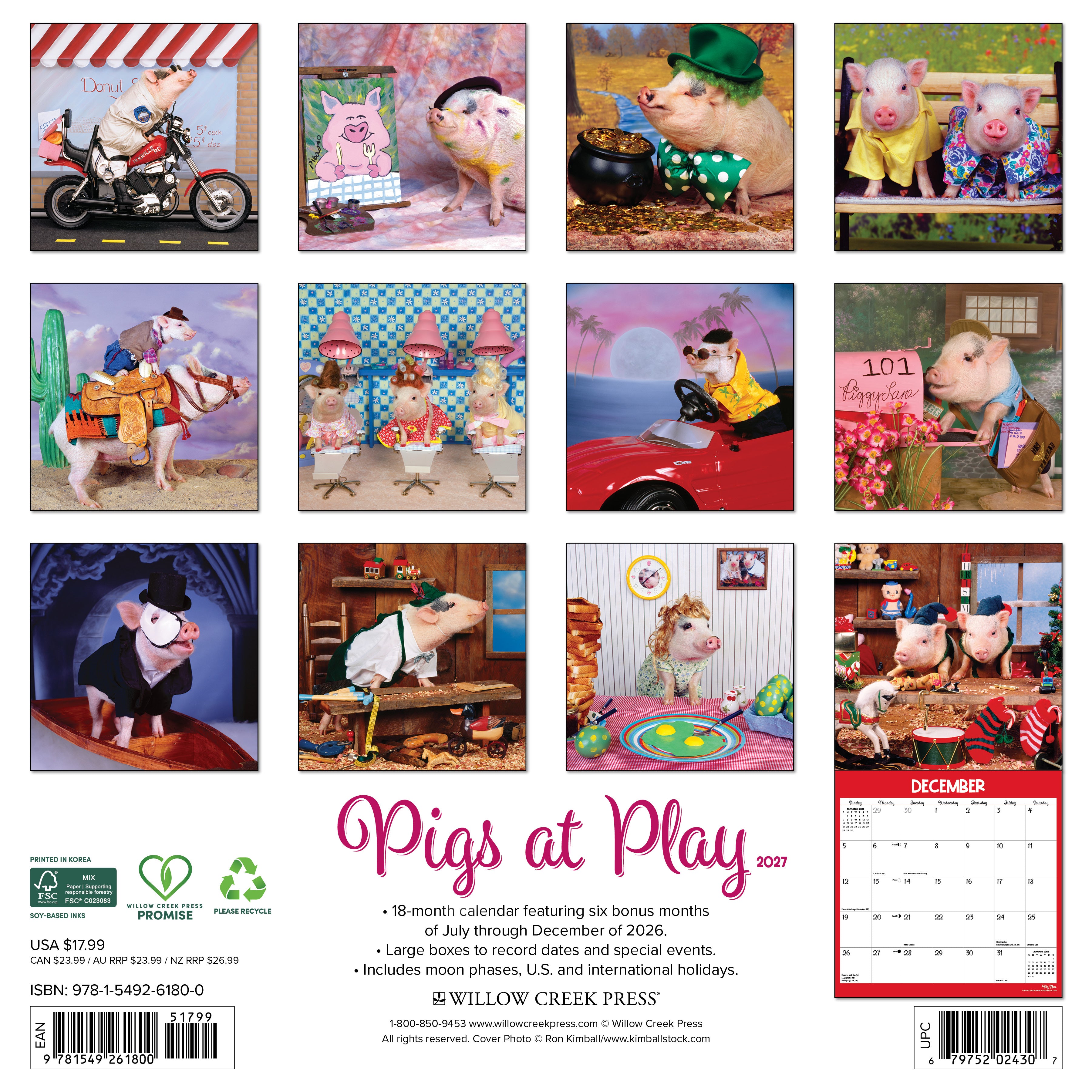 Willow Creek Press, Pigs at Play 2027 Wall Calendar