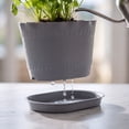 thumbnail image 7 of 1Pack 7.4 Inch Ruffled Small Plant Pots with Drainage Holes and Saucers, Dark Gray Plastic Scalloped Flower Pots Stackable Nursery Planters for Indoor Outdoor Succulents Herbs Houseplants, 7 of 7