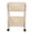 2-Tier White, variant on NFTIGB Compact Rolling Storage Organizer Large Capacity Mobile Utility Cart Movable Book Shelves Lockable Wheels 3 Tier Without Cover Premium White 13.39 inches / 34 cm Long