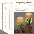 thumbnail image 4 of Grow Light for Indoor Plants, LED Small Grow Light, Height Adjustable Angel Ring Plants Growing Lamp, Full Spectrum, Automatic Timer, 5V Low Safe Voltage, Ideal for Small Plant Light (1 Head), 4 of 6