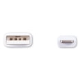thumbnail image 4 of Usb Lightning Cable, 3 Ft, White | Bundle of 5 Each, 4 of 4