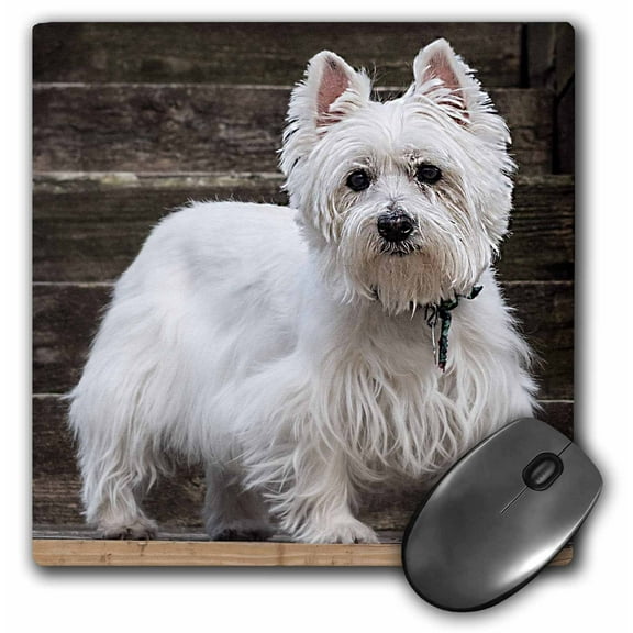 3dRose, Westie, MousePad