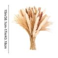 thumbnail image 3 of Dongrere Natural Dried Pampas Grass Bouquet, Neutral Toned Dried Floral, Phragmites Dried Flowers for Home, Wedding Centerpieces, Farmhouse Vases, 15" - 17", 3 of 6