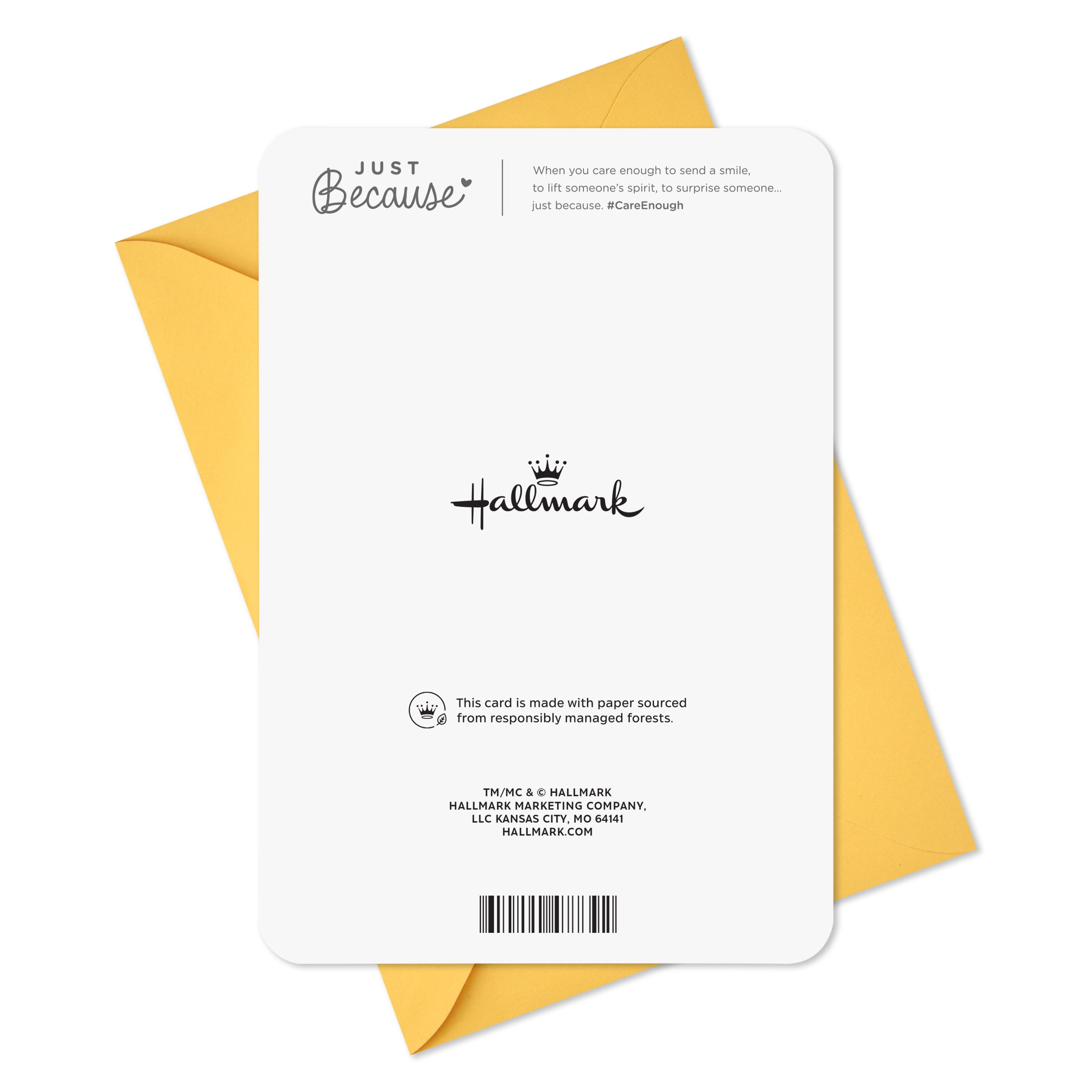 Hallmark Just Because Congratulations Card (OMG)