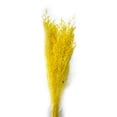 thumbnail image 1 of Billuyoard Flores secas portátiles, plantas artificiales ligeras, flores naturales, ramo de hierba seca para sala de estar, boda, hogar Decoración del hogar Amarillo verde Billuyoard HA073024-08, 1 of 1