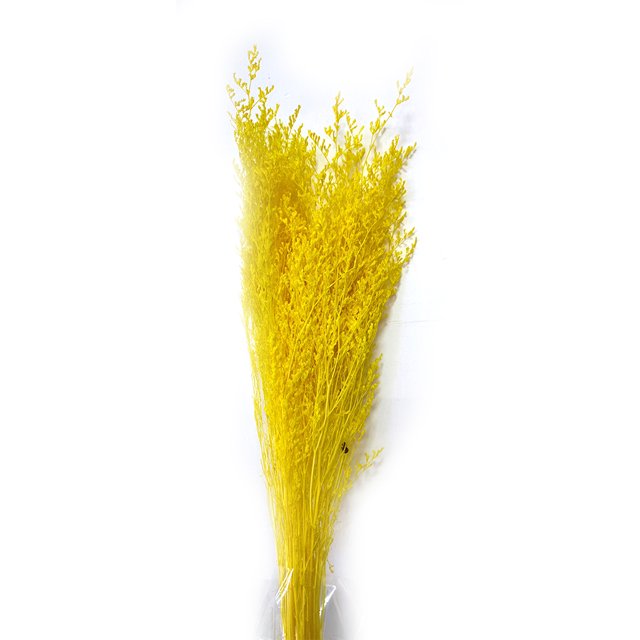 Billuyoard Flores secas portátiles, plantas artificiales ligeras, flores naturales, ramo de hierba seca para sala de estar, boda, hogar Decoración del hogar Amarillo verde Billuyoard HA073024-08