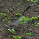 thumbnail image 4 of BRIGHTFUFU 4pcs Boquillas de rociador de reemplazo para jardín y uso agrícola Boquillas de ventilador de ventilador Boquillas de plástico de boquilla de pulverización agrícola Reemplazo, 4 of 7