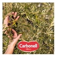 thumbnail image 4 of Aceitunas negras Carbonell sin hueso 340 g, 4 of 4
