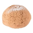 thumbnail image 3 of Concha premium por pieza, 3 of 5