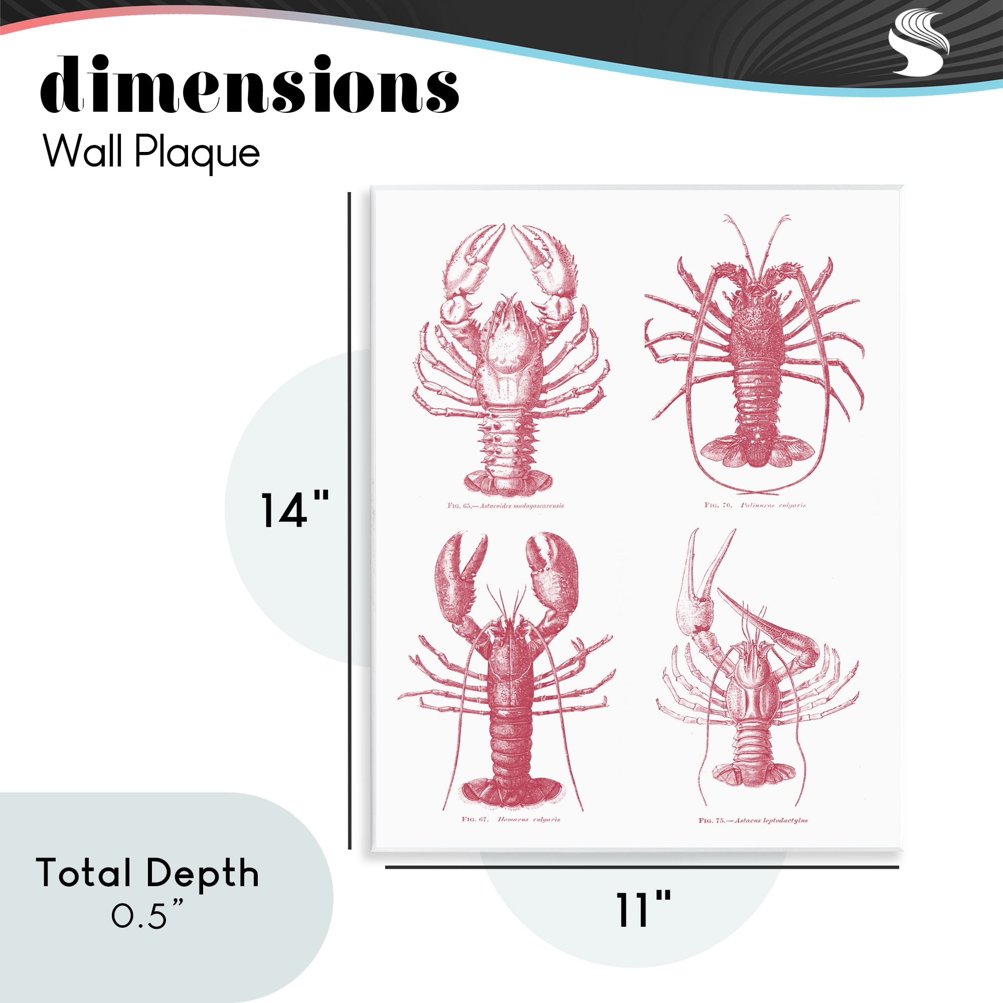 Timeless Lobsters Species Wall Plaque Art, design by Lettered and Lined