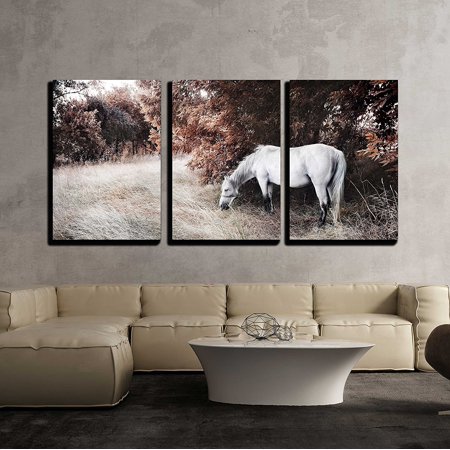 wall26 - 3 Piece Canvas Wall Art - White Horse - Modern Home Decor Stretched and Framed Ready to Hang - 16"x24"x3 Panels