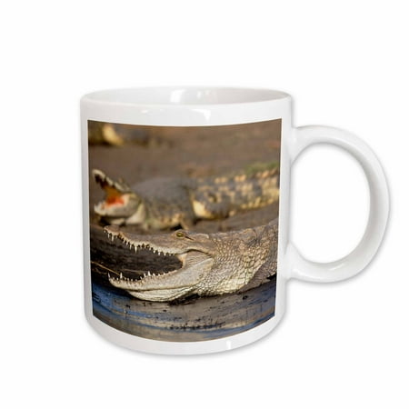

3dRose Nile Crocodile Market Lake Chamo Ethiopia - AF16 MZW0061 - Martin Zwick Ceramic Mug 15-ounce