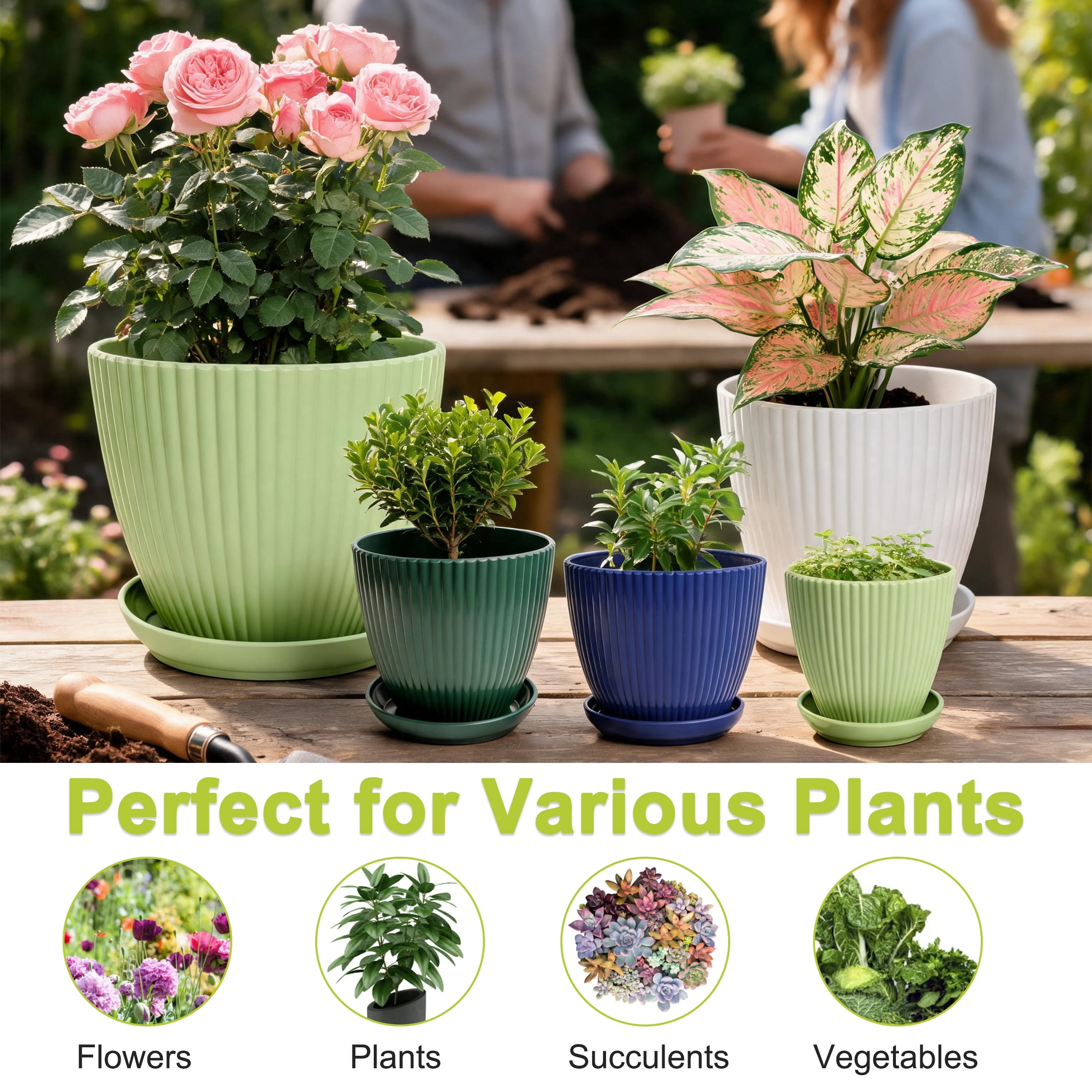 5 Pack Plastic Plant Pots with Drainage Holes and Saucers, Multi Size Indoor Planters, Vertical Ribbed Flower Pots for Succulents, Herbs, House Plants