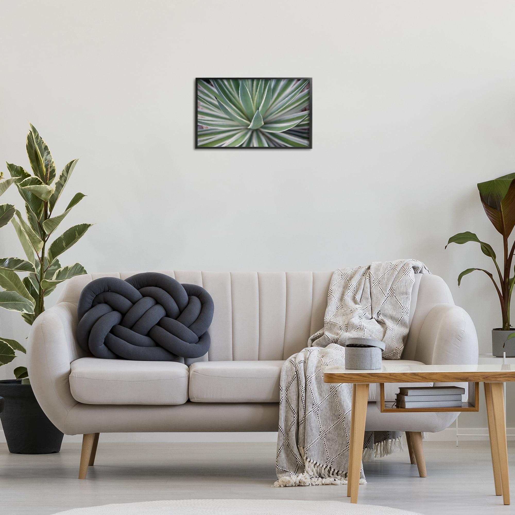 Stupell Industries Striped Plant Leaves Botanical & Floral Photography Black Framed Art Print Wall Art, 18 x 12