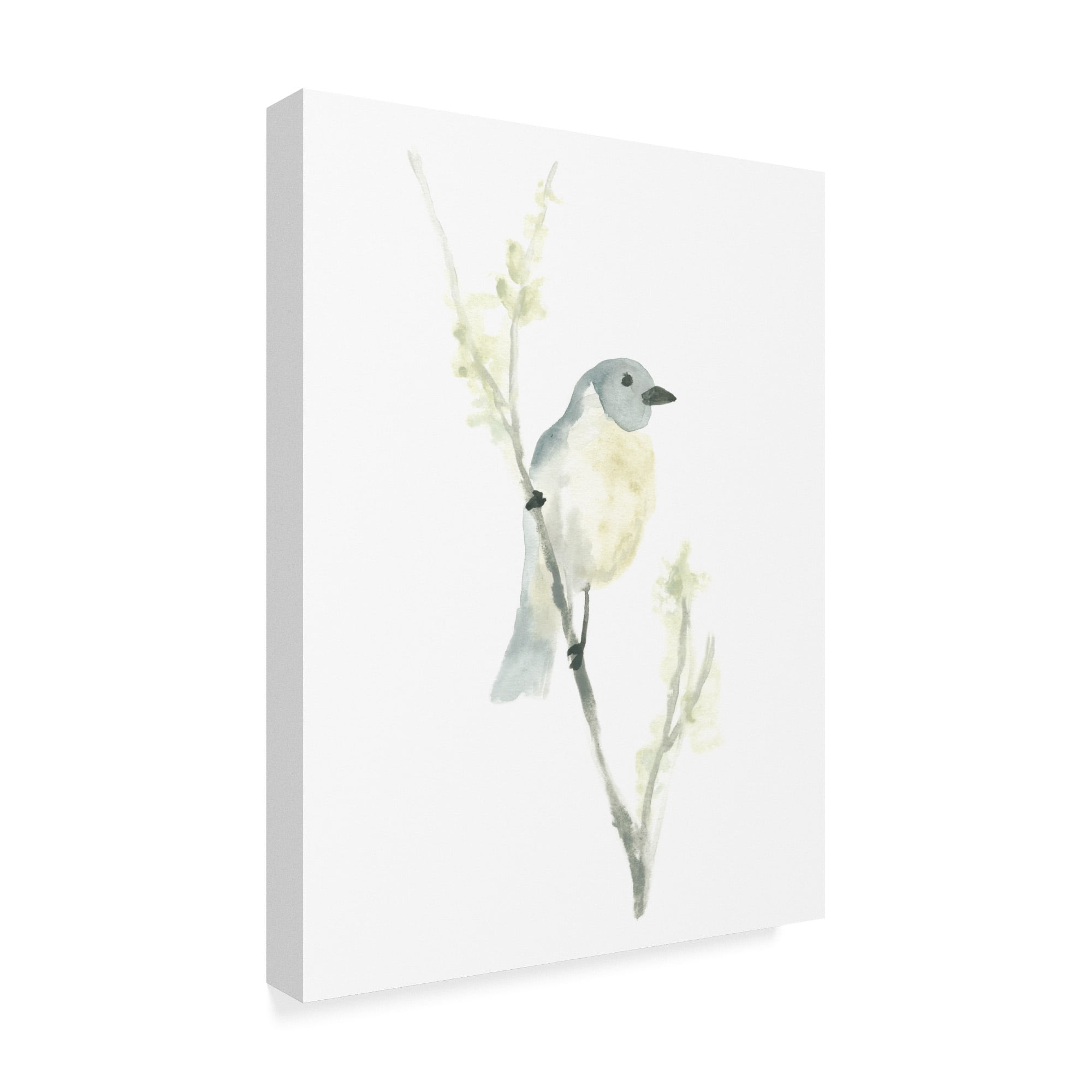Avian Impressions III' Canvas Art by June Erica Vess