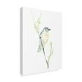 thumbnail image 2 of Trademark Fine Art 'Avian Impressions III' Canvas Art by June Erica Vess, 2 of 4