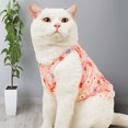 thumbnail image 5 of Sleeveless Ruffle Hem Pet Dress - Elastic Trim Cat Dress - Floral Printing Summer Small Dog Dress - Pet Clothes, 5 of 8