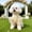 Beige BG, variant on AuroraX Dog Wedding Dresses for Small Dogs Dog Costumes for Small Dogs Stretchy Breathable Lightweight Soft Dog Party Dresses Beige