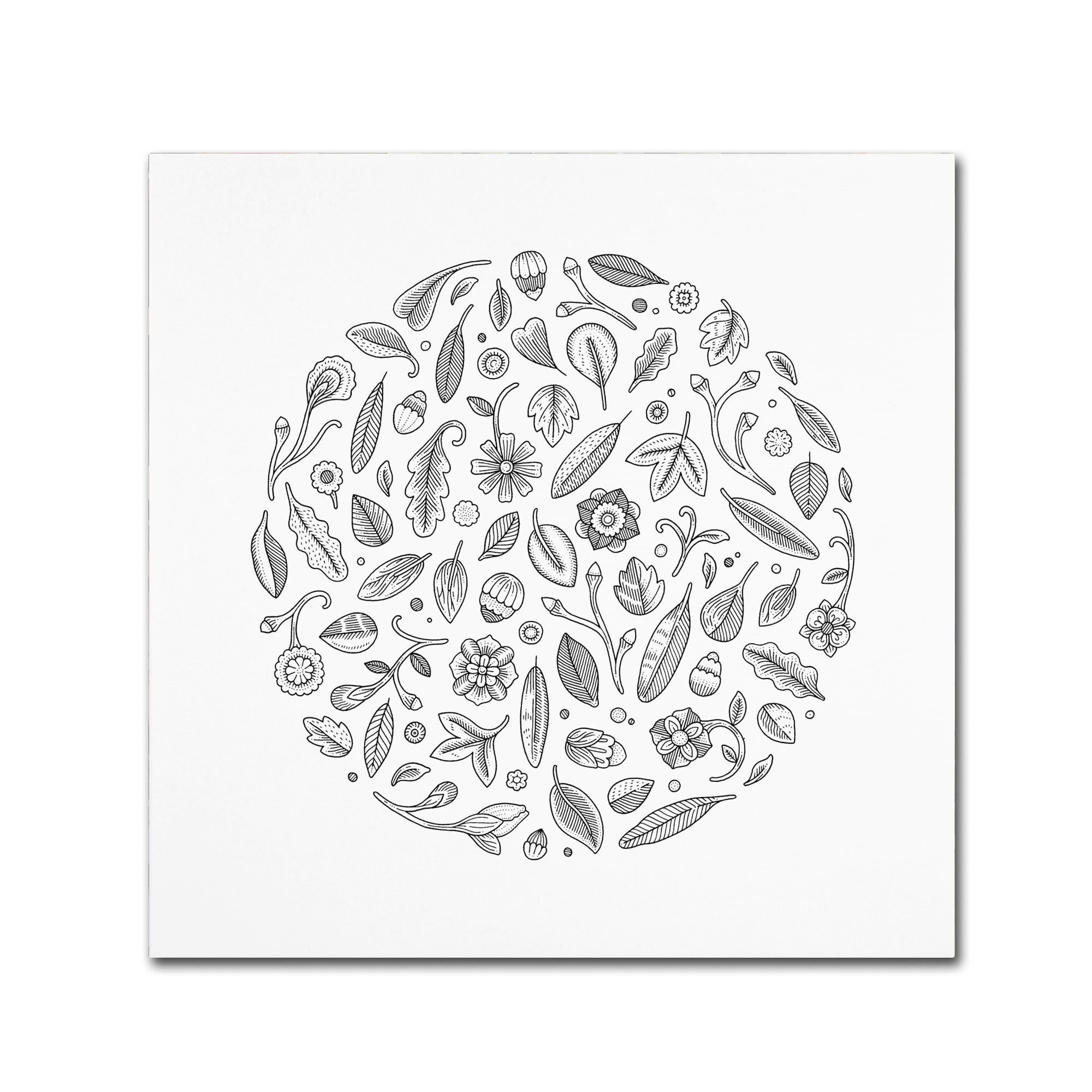 Trademark Fine Art "Leaf Circle" Canvas Art by Filippo Cardu