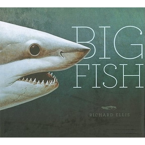 Big Fish (Hardcover)