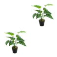 thumbnail image 3 of Yuarrent Plantas artificiales realistas, flores falsas en maceta de tortuga para el hogar, la oficina, el jardín, la decoración de la sala de JH5471 2Conjunto, 3 of 6