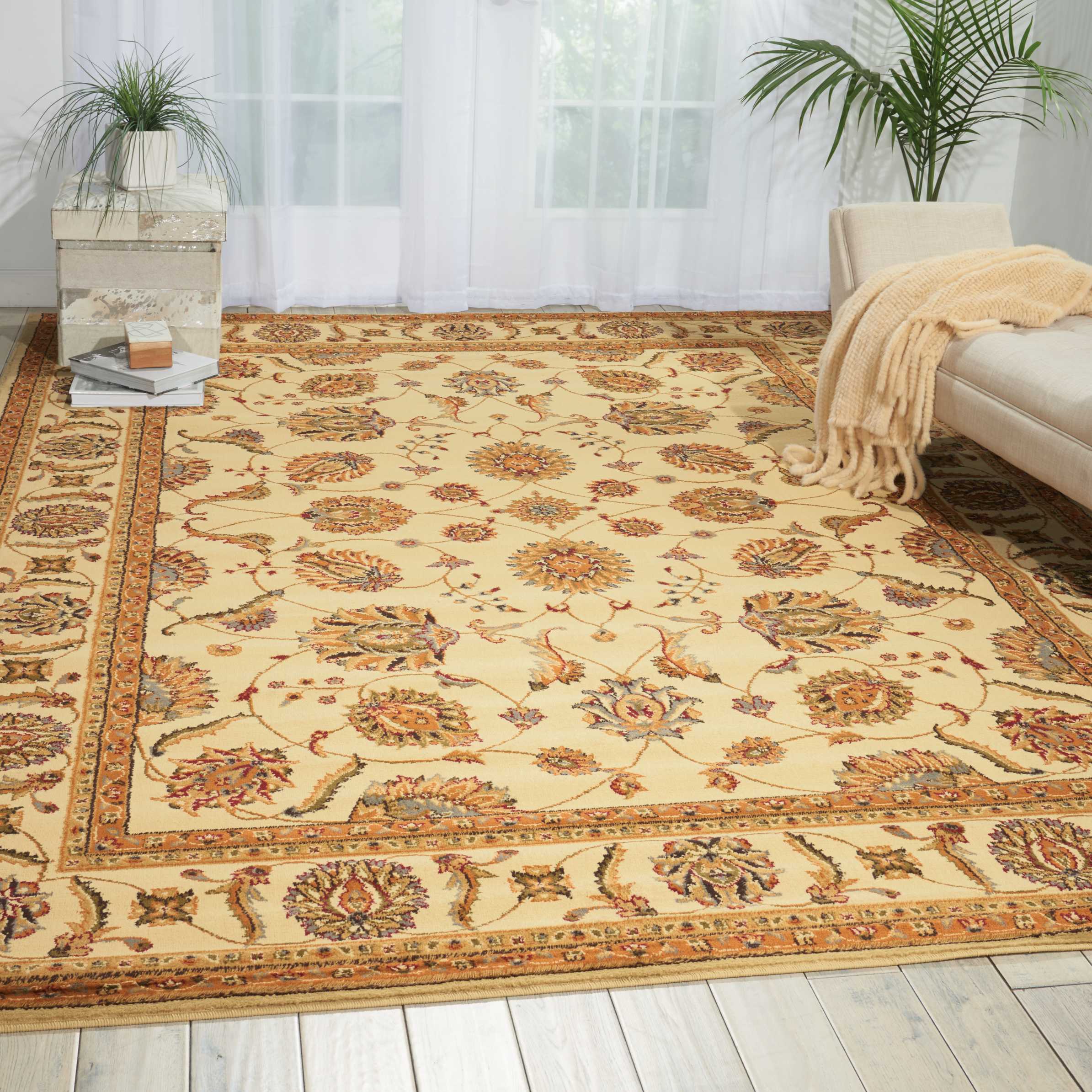 Nourison Paramount Bordered Beige Area Rug