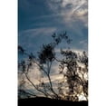 thumbnail image 2 of Sunset Silhouette IV Poster Print by Erin Berzel (10 x 14), 2 of 2