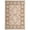 Ivory/Brown, variant on SAFAVIEH Windsor Leandre Traditional Area Rug, Ivory/Brown, 5' x 7'