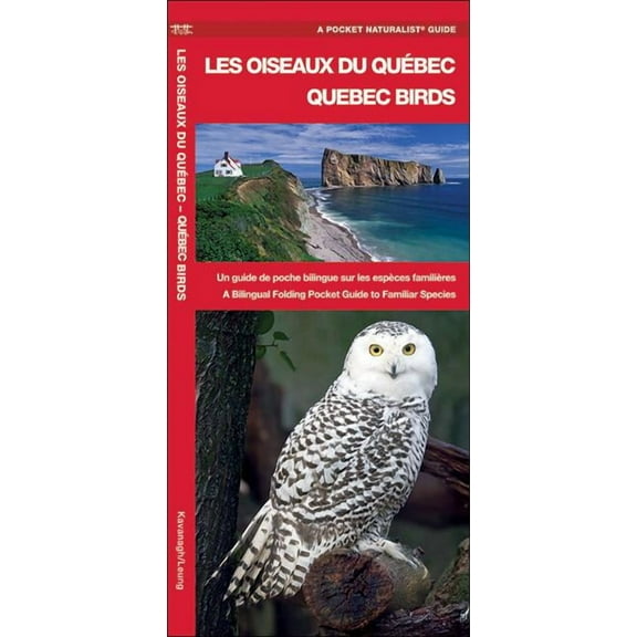 Les Oiseaux Du Quabec/Quebec Birds : Un Guide de Poche Bilingue Sur Les Espa]ces Familia]re/A Bilingual Folding Pocket Guide to Familiar Species