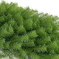 thumbnail image 3 of National Tree Company Artificial Christmas Wreath, Green, Norwood Fir, Christmas Collection, 60 Inches, 3 of 3