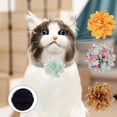 thumbnail image 1 of CBFFDC Pet Accessories 10Pcs Pet Collar Flower Charms Bright Color Exquisite Pattern Pet Collar Slide Attachment Grooming Accessories with Elastic Band, 1 of 5