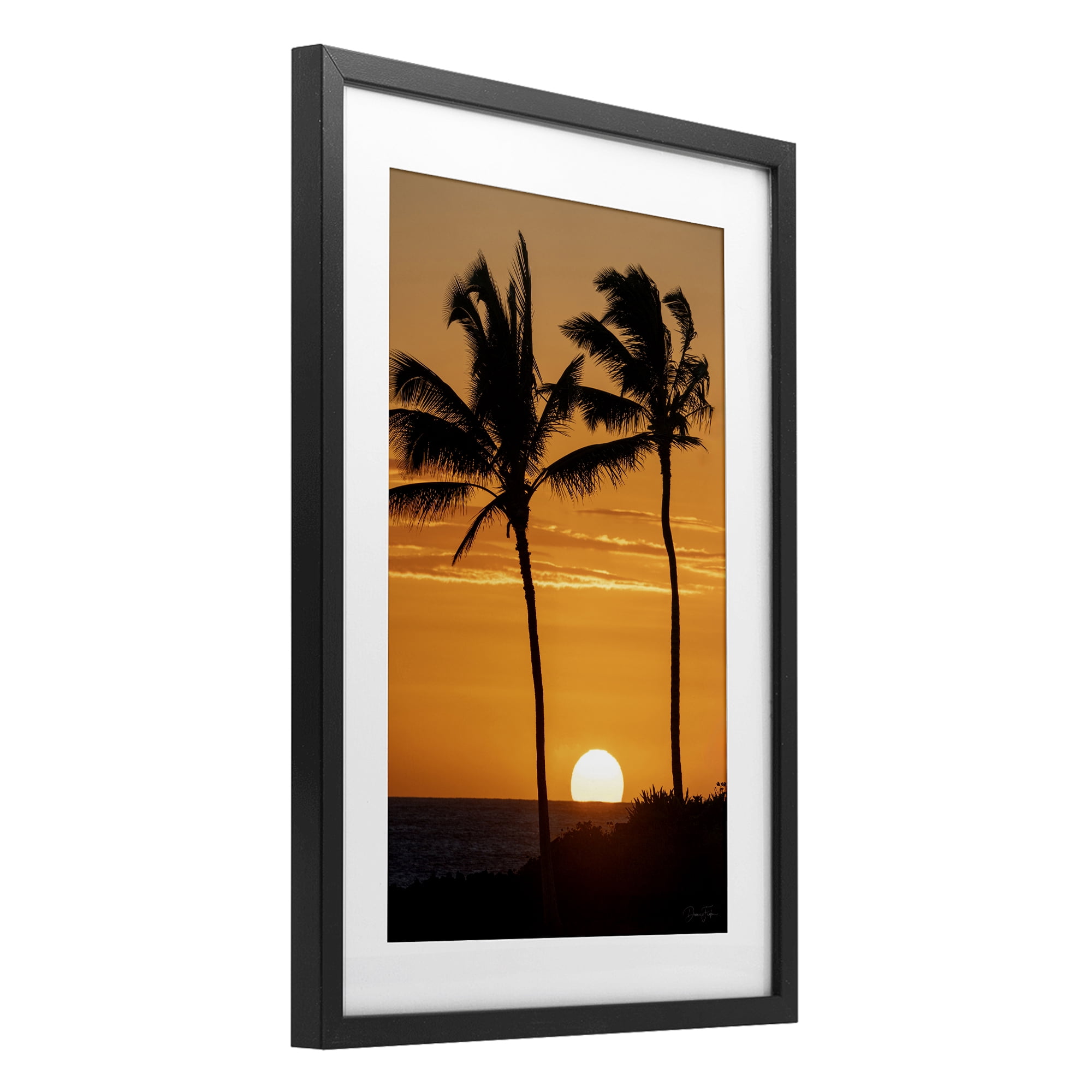 Stupell Industries Sunset Through Palm Trees Black Framed Print Under Glass, design by Dennis Frates