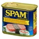 Viande froide SPAM entièrement cuite à 25 % moins de sodium 340 g – image 5 sur 11