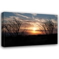 thumbnail image 1 of Erin Berzel 24x17 Gallery Wrapped Canvas Wall Art Titled - Ocotillo Cactus II, 1 of 4