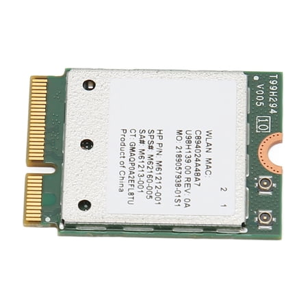 Vis De Stabilité Renforcée Pour Support Double Conga LP290B - Filetage 5/16"