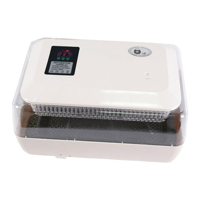 Incubadora automática de huevos Fernando para aves de corral transparente