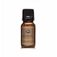 thumbnail image 3 of Pecan Pie Fragrance Oil - Premium Grade Scented Oil - 10ml, 3 of 4