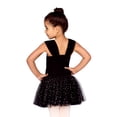 thumbnail image 2 of Petite Etoile Toddler Girls Ruffle Front Tutu Dress for Ballet/Dance, 2 of 6