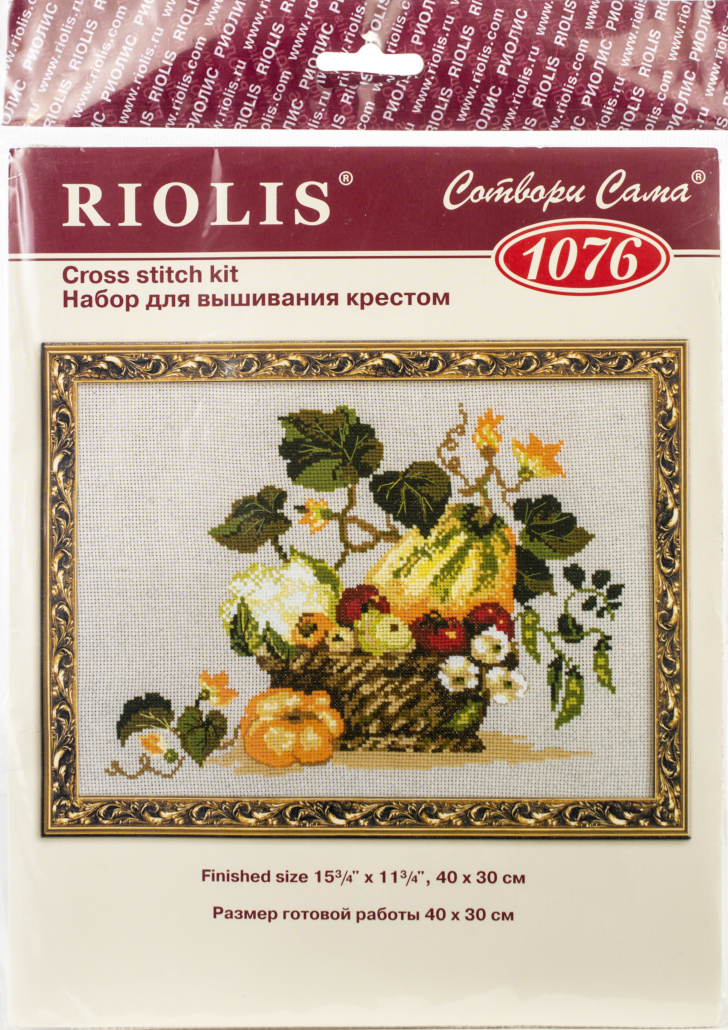 RIOLIS Counted Cross Stitch Kit 10.25X7.75-Balckberries (15 Count) 