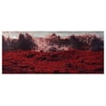 thumbnail image 3 of MISSHA Time Revolution Sérum Revitalisant aux Algues Rouges 40 ml, 3 of 8
