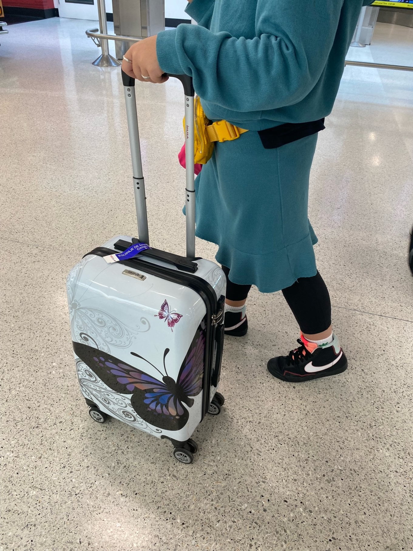 InUSA PRINTS lightweight hardside spinner 20 inch carry-on Butterfly